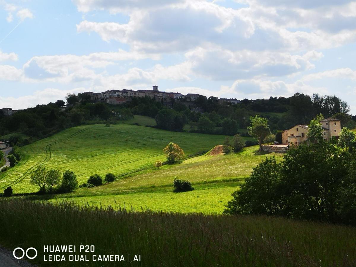 Bed and Breakfast Castel Mazars Castelnau-de-Montmiral Экстерьер фото