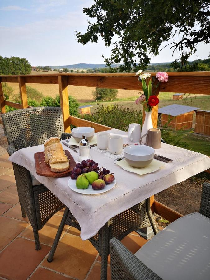 Bed and Breakfast Castel Mazars Castelnau-de-Montmiral Экстерьер фото