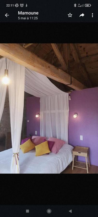 Bed and Breakfast Castel Mazars Castelnau-de-Montmiral Экстерьер фото